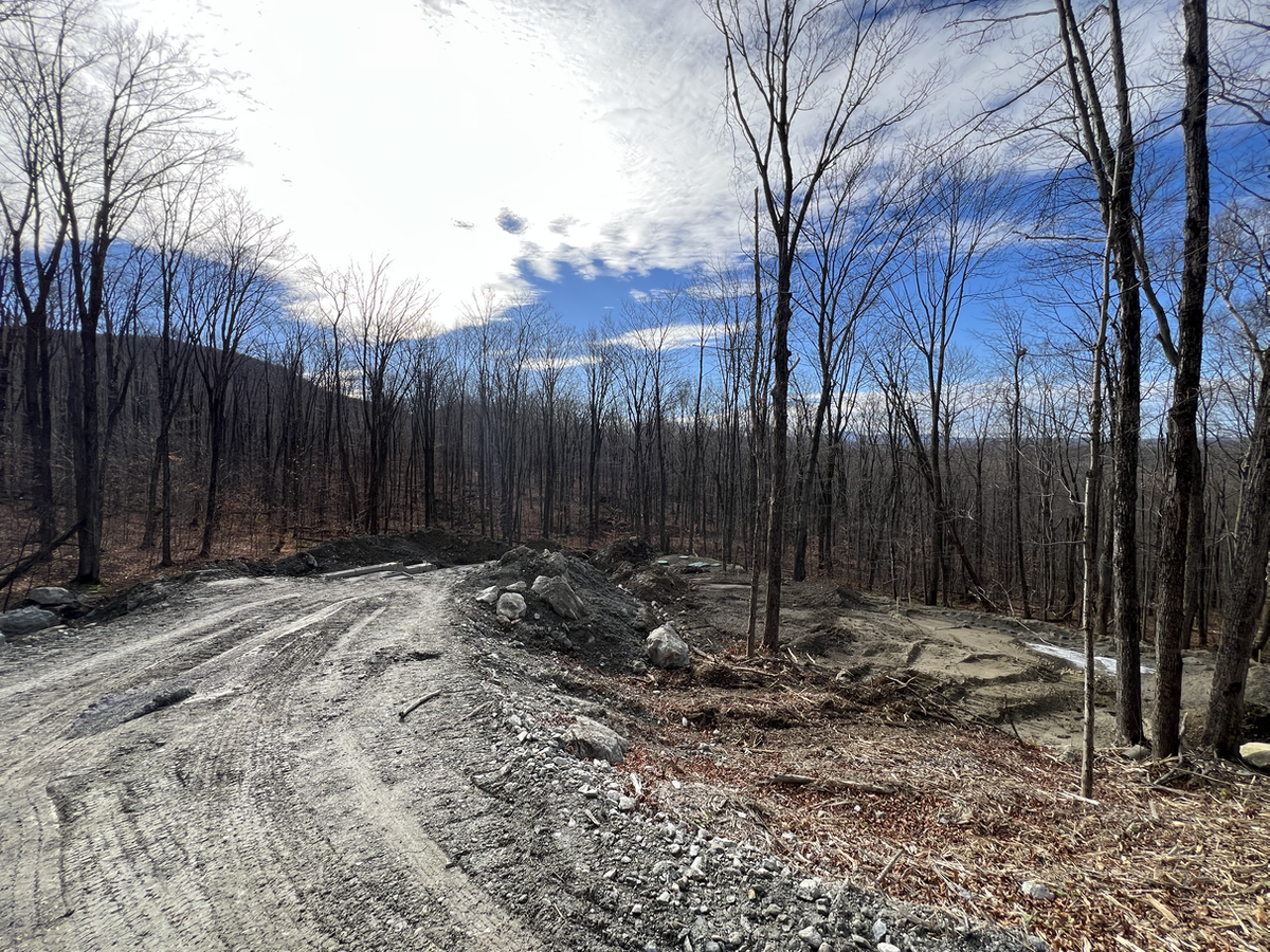 Terrain forestier préparé avant la construction du chalet