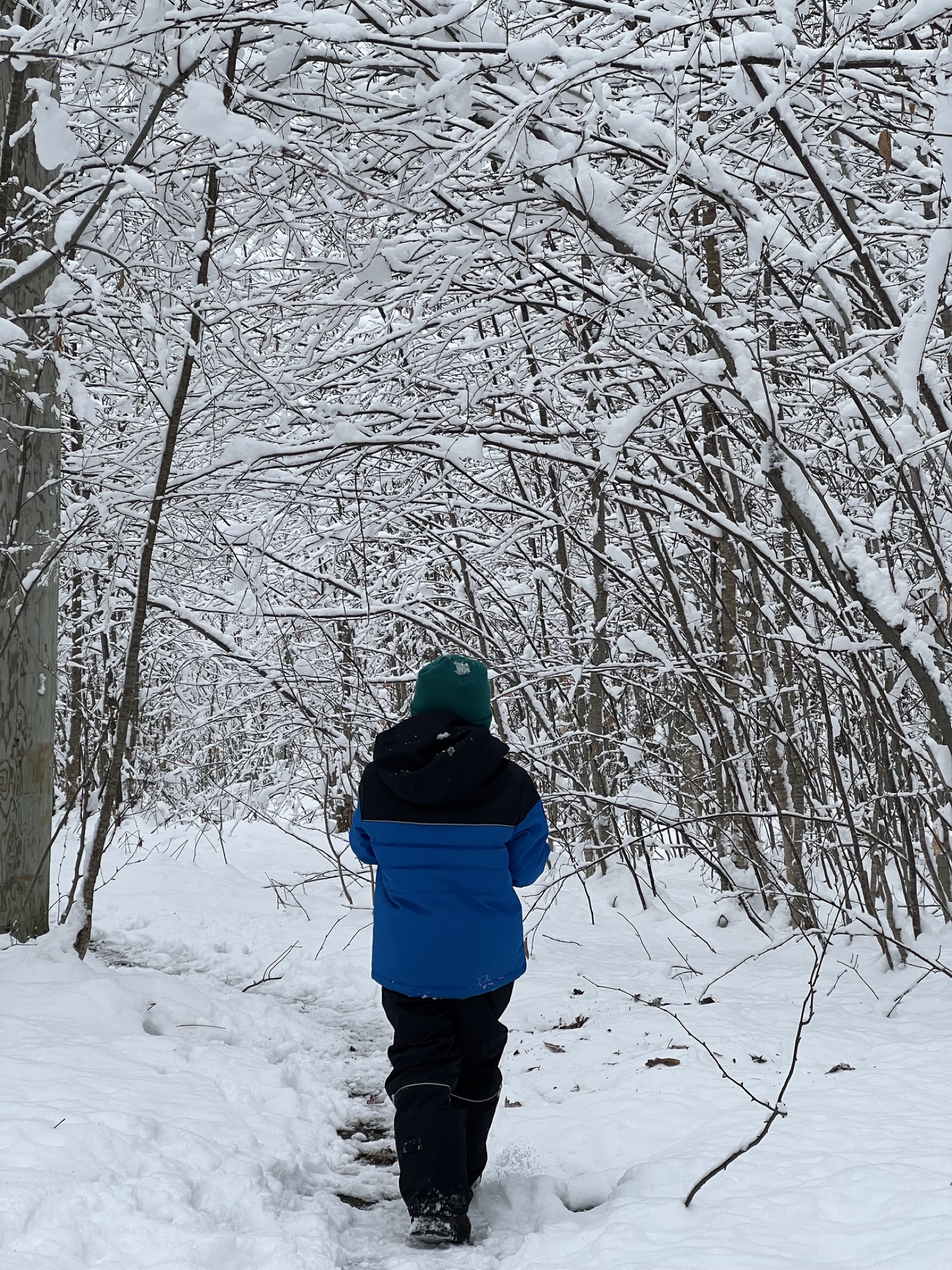 Enfant marchant dans un sentier enneigé au cœur de la forêt