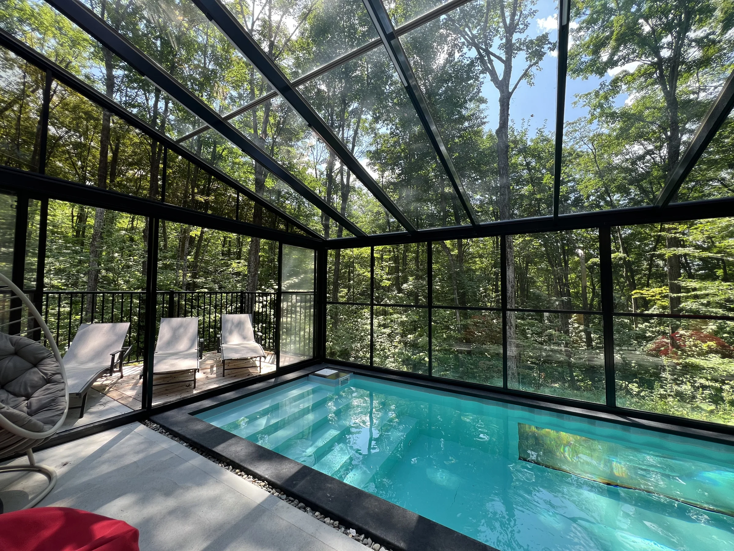 Vue intérieure panoramique de la piscine, des murs vitrés et du toit du solarium au milieu de la forêt