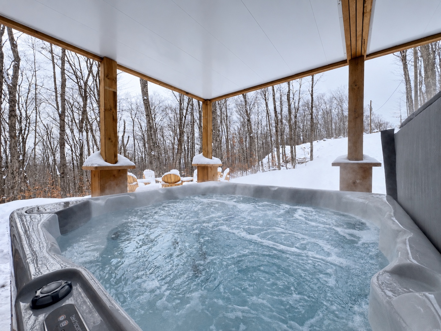 Spa couvert avec vue sur la forêt et le paysage enneigé