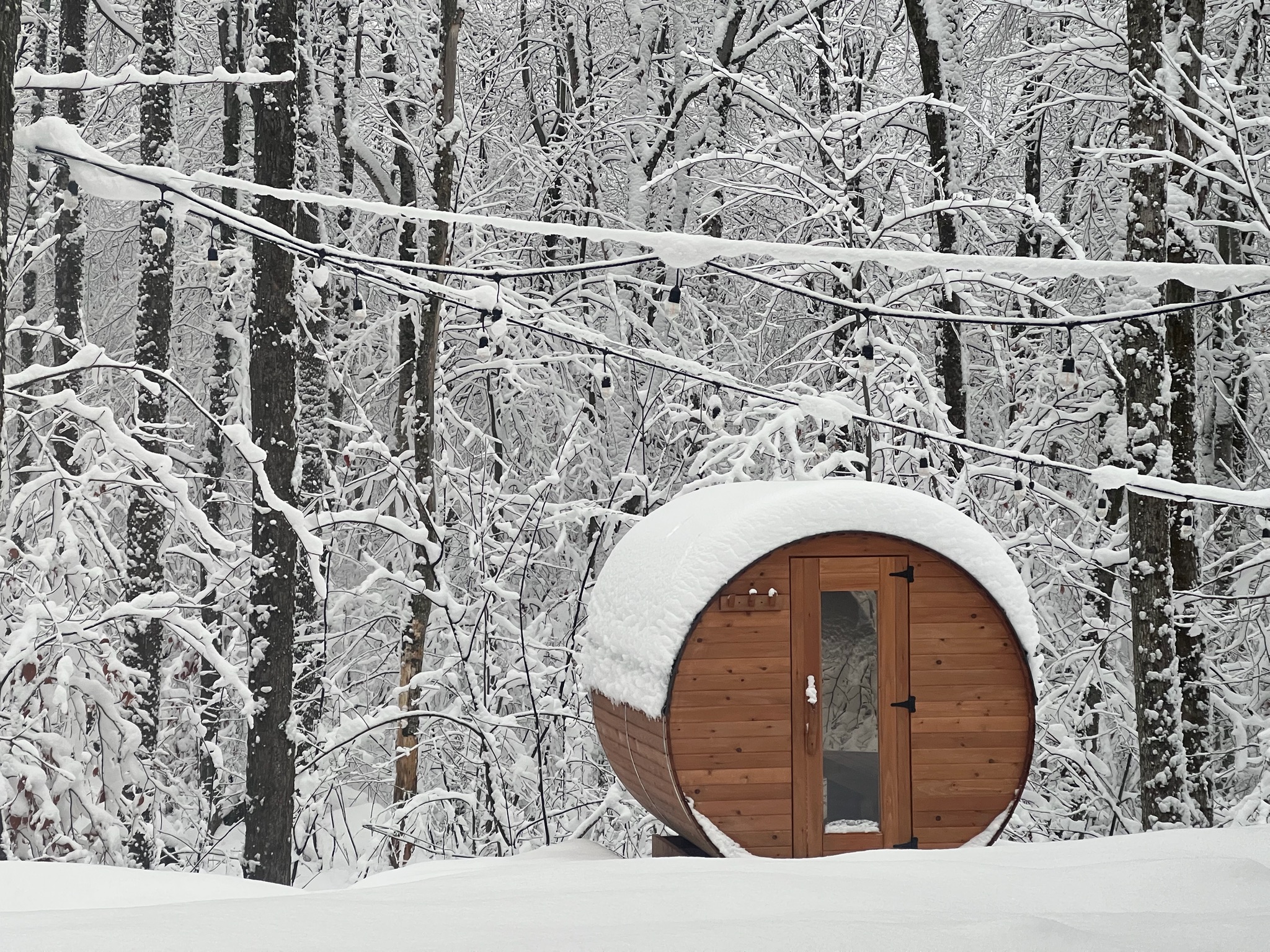 Sauna boréal enneigé installé au cœur de la forêt