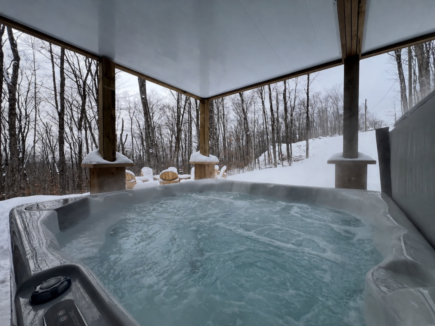 Spa couvert avec vue sur la forêt et le paysage enneigé